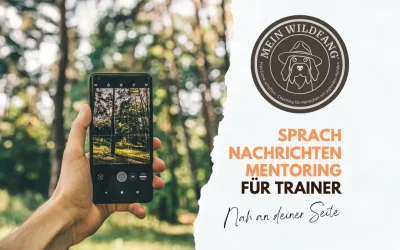 In den Wald gerufen – Dein Sprachnachrichten-Mentoring für Hunde-Trainer