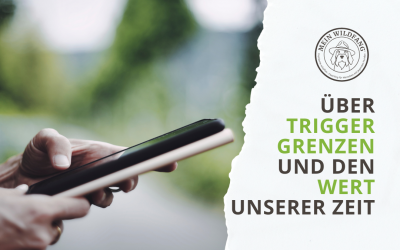 Über Trigger, Grenzen und den Wert unserer Zeit