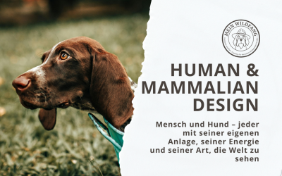 Human und Mammalian Design