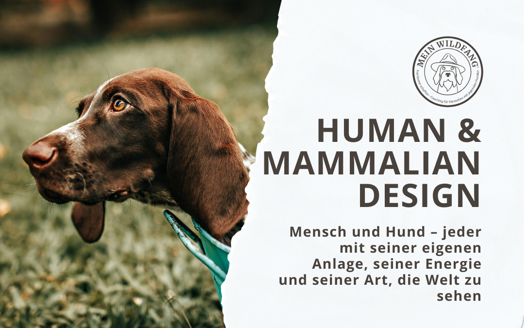 Human und Mammalian Design Deutsch Kurzhaar