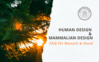 FAQ Human Design & Mammalian Design – für Mensch & Hund