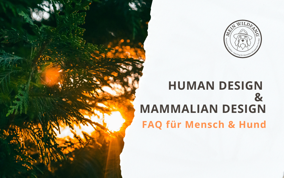 FAQ Human Design