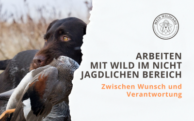 Arbeiten mit Wild im nicht jagdlichen Bereich