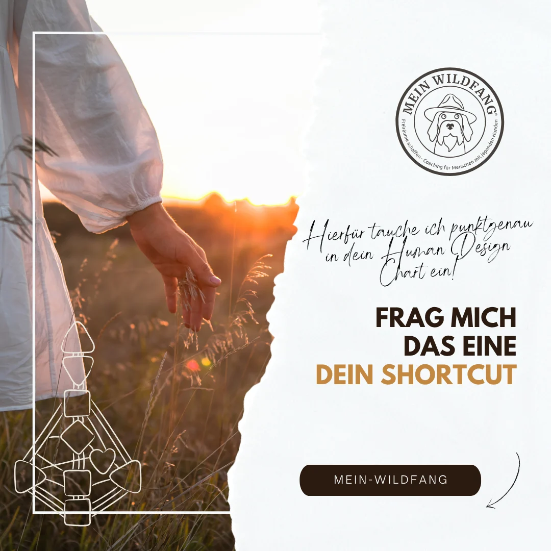 Human Design Coaching: Frag mich das EINE - Nicole Lützenkirchen