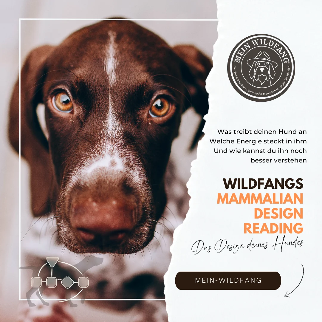 Mammalian Design Reading buchen