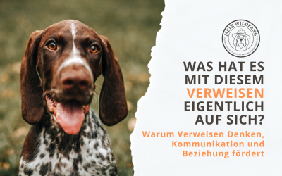 Was hat es mit diesem Verweisen eigentlich auf sich?