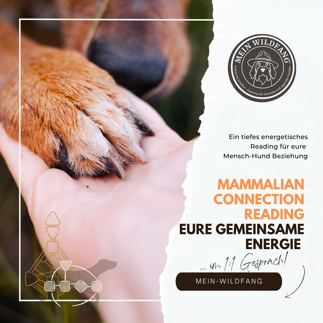 Resonanzfeld Reading – Du und dein Hund im Miteinander