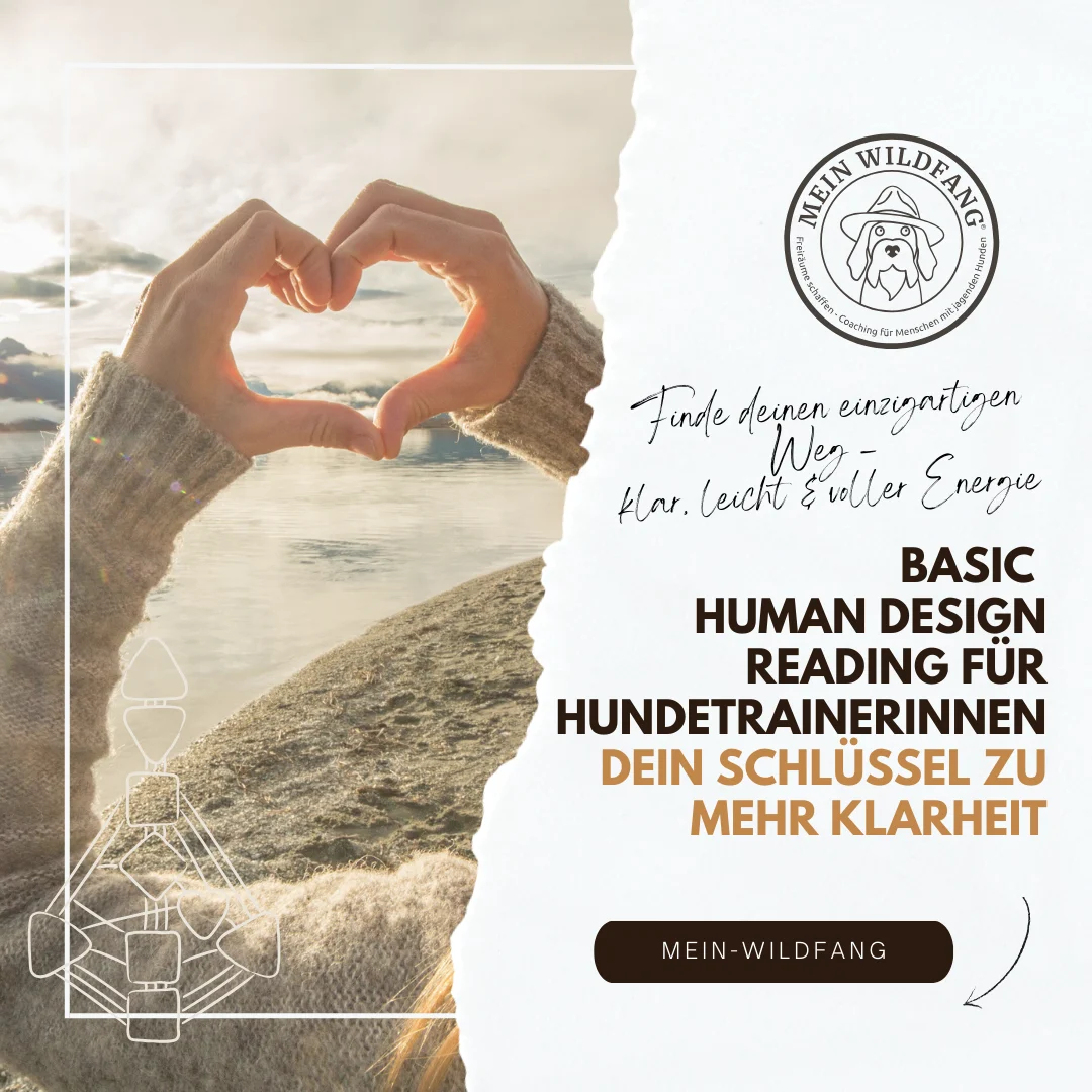 Human Design Basis Reading - Nicole Lützenkirchen