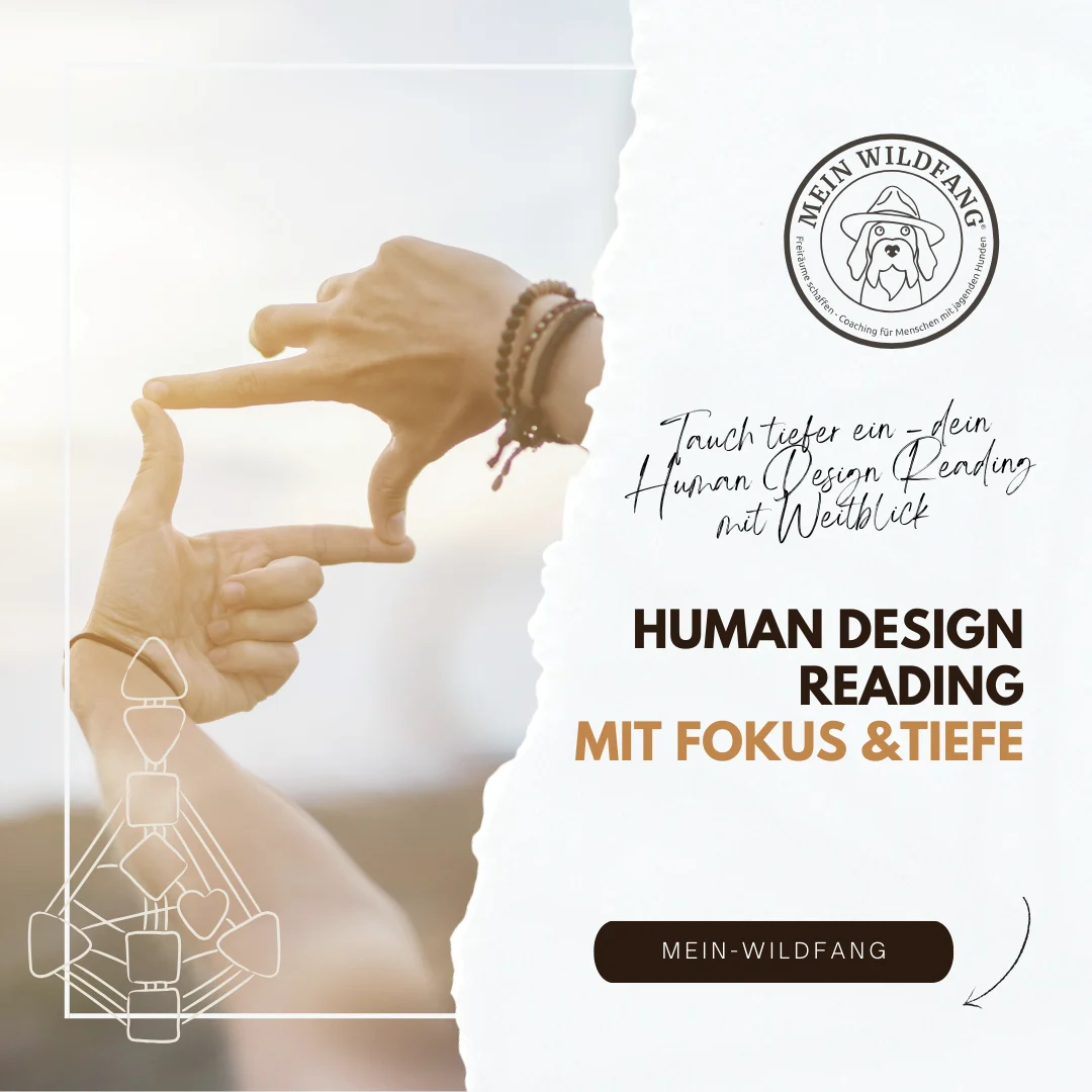 Human Design Reading mit Tiefe - Nicole Lützenkirchen