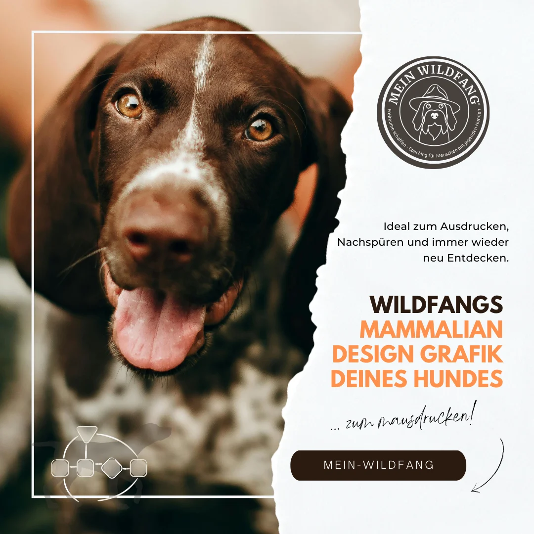 Mammalian Design Chart erstellen lassen