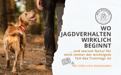 Wo Jagdverhalten wirklich beginnt