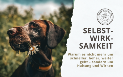 Selbstwirksamkeit im Tierbusiness