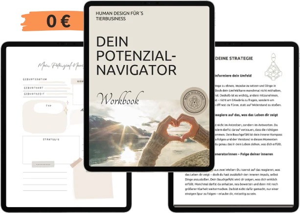 Potentialanalyse Human Design