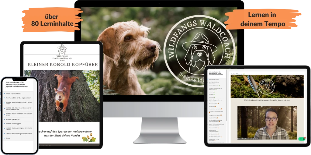 Wildfangs Waldcoach - Train the Trainer. Nicole Lützenkirchen