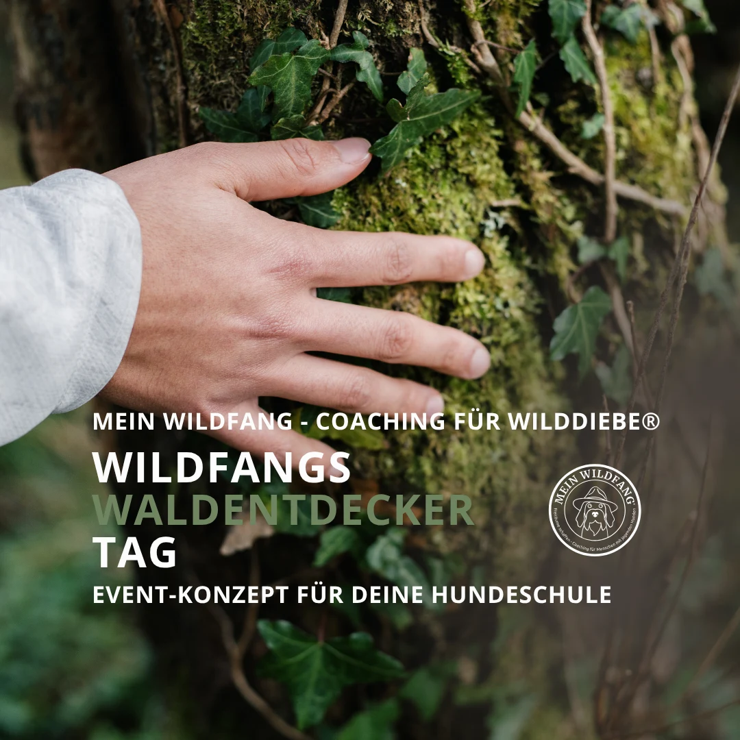 Waldentdeckertag für Familien mit Hund - Das Eventkonzept für deine Hundeschule
