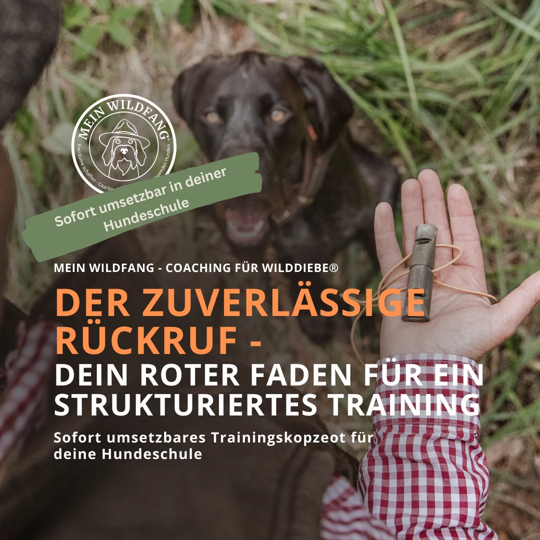 DEIN TRAININGSKONZEPT FÜR DEINE HUNDESCHULE</p>
<p>Der zuverlässige Rückruf<br />
Dein roter Faden für die Arbeit am zuverlässigen Rückruf für deine Hundeschule<br />
