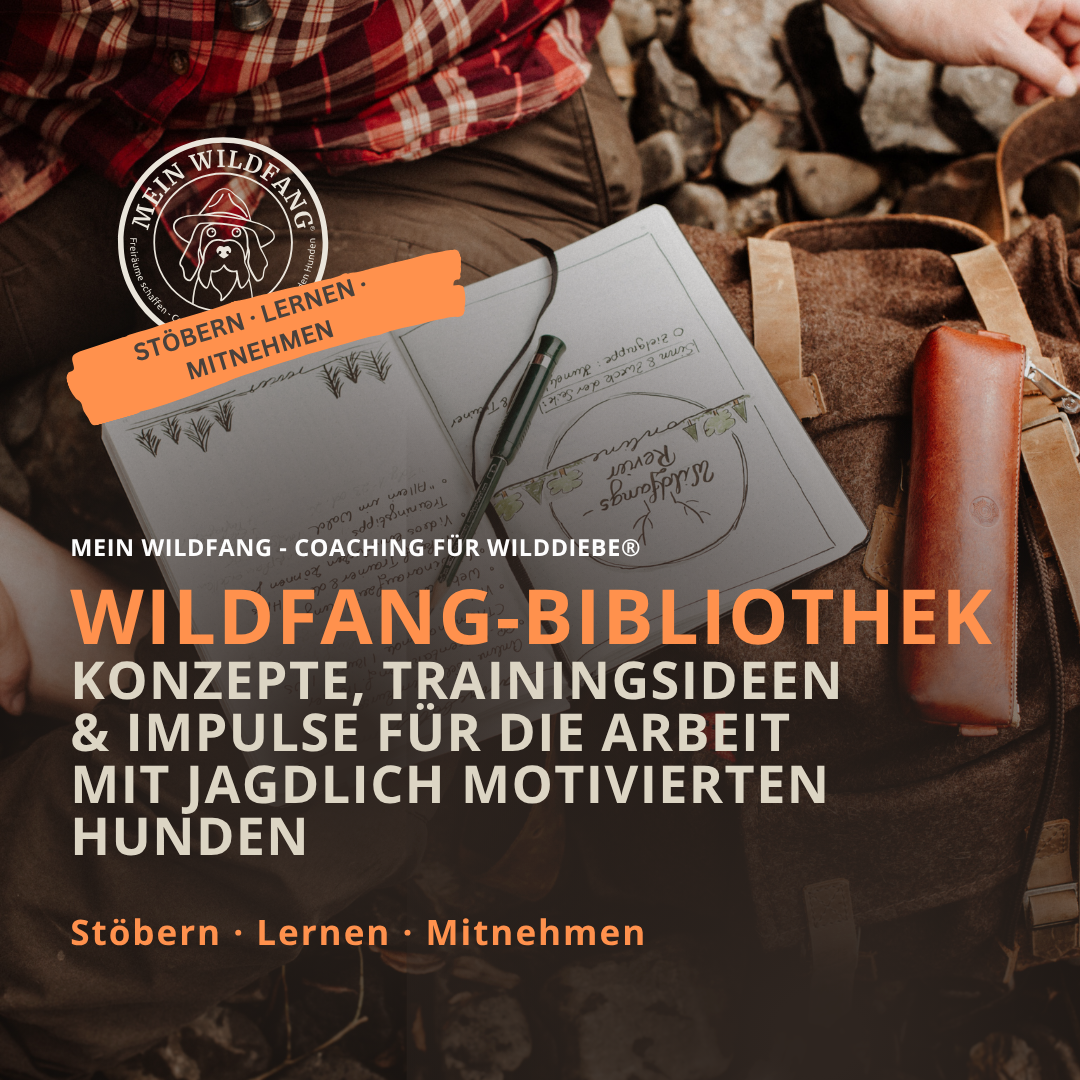 Ruhe und Gelassenheit bei jagdlich motivierten Hunden in wildreichen Umgebungen fördern
