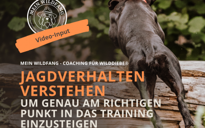 Jagdverhalten in der Natur verstehen