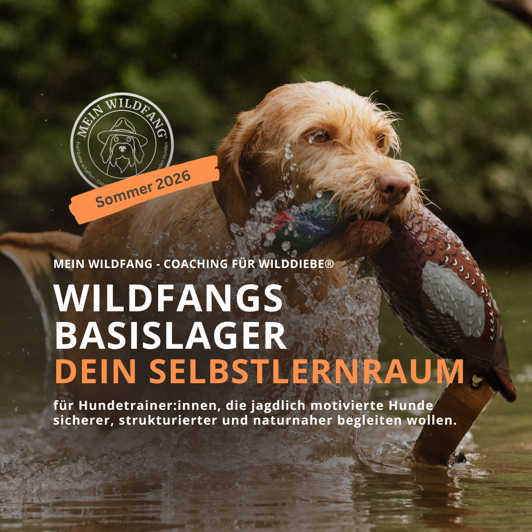 DEIN TRAININGSKONZEPT FÜR DEINE HUNDESCHULE</p>
<p>Der zuverlässige Rückruf<br />
Dein roter Faden für die Arbeit am zuverlässigen Rückruf für deine Hundeschule<br />
