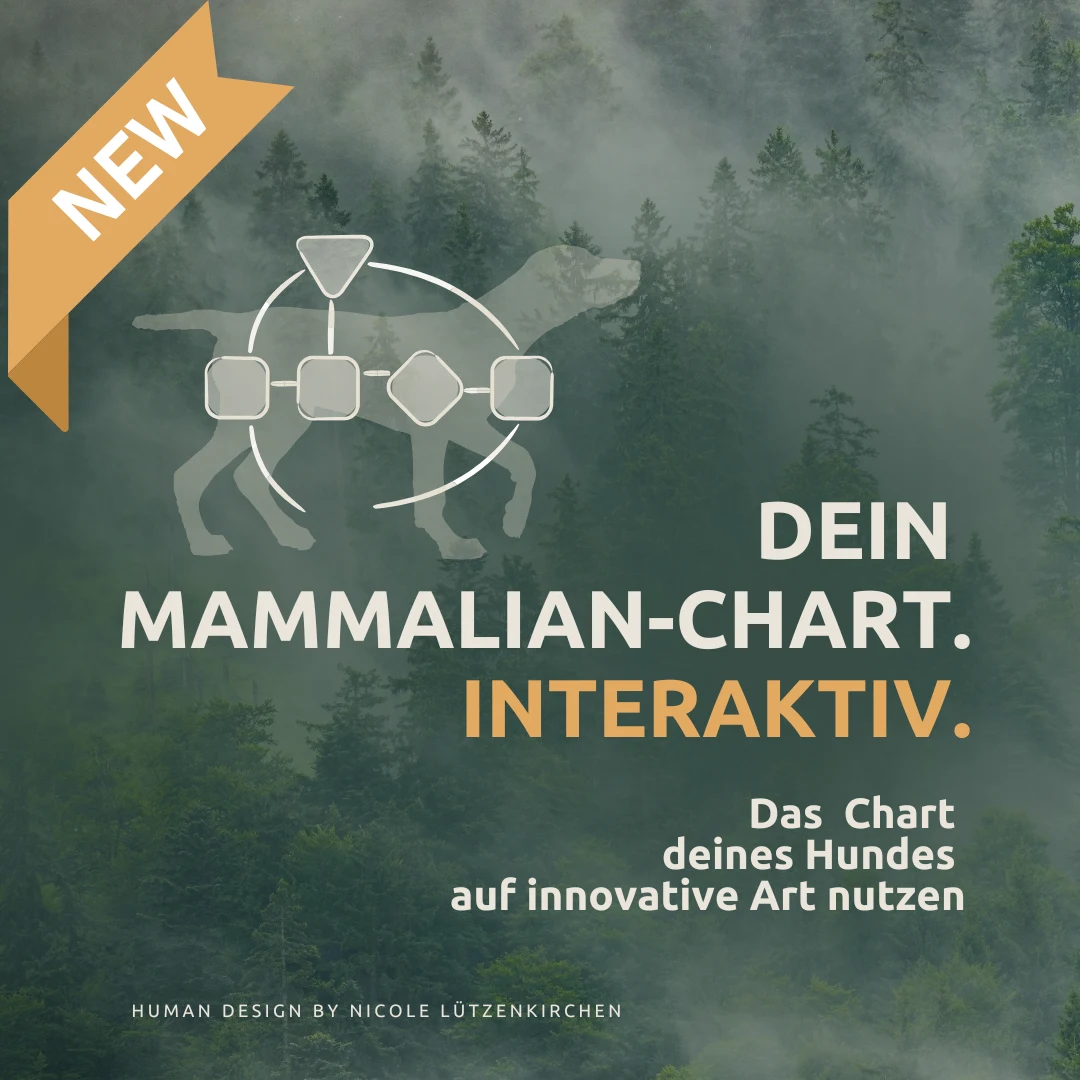 Mammalian-Design-Reading Chart  INTERAKTIV KI 