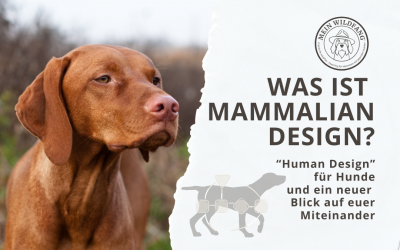 Mammalian Design im Hundetraining