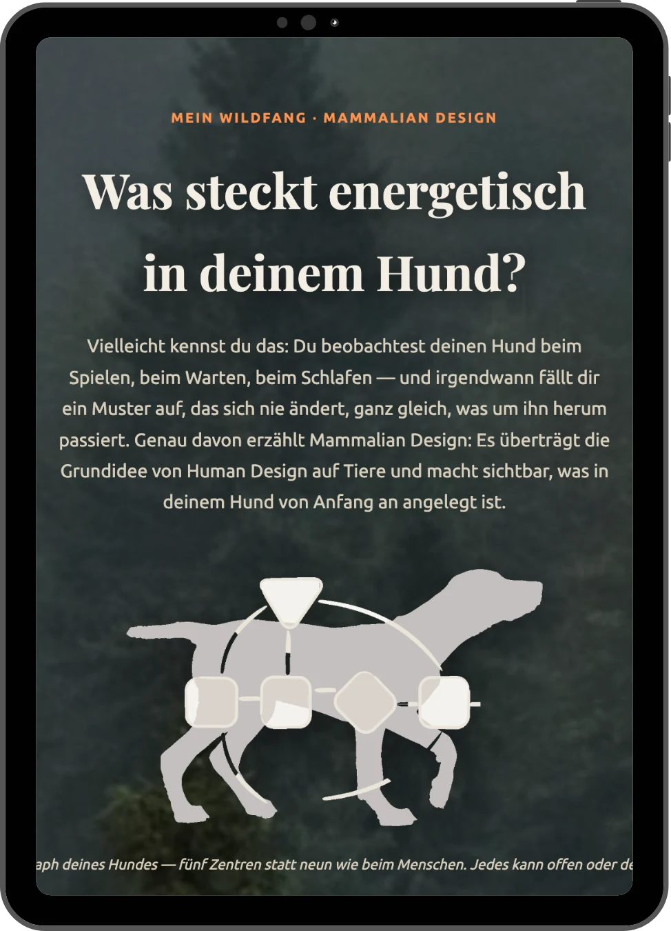 Mammalian Design Was steckt in deinem Hund