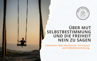 Was, wenn dein Nein gar nicht das Problem ist?